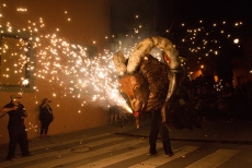 Festa Major Sant Feliu 2015