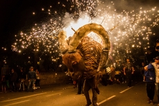 Festa Major Sant Feliu 2015