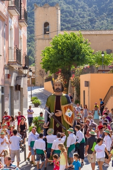 Festa Major Sant Feliu 2015