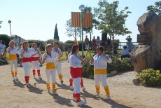 Diada Nacional de Catalunya