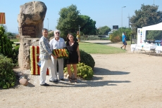 Diada Nacional de Catalunya