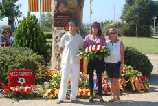 Diada Nacional de Catalunya