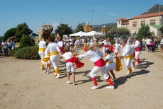 Diada Nacional de Catalunya